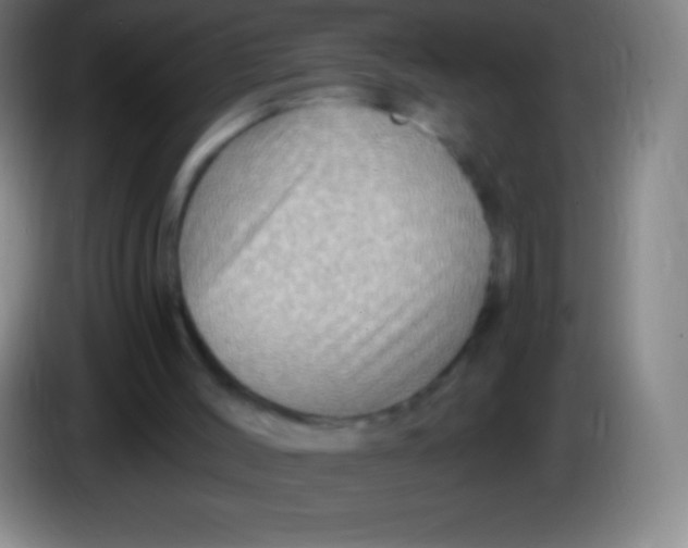 X0000085300004200703302011