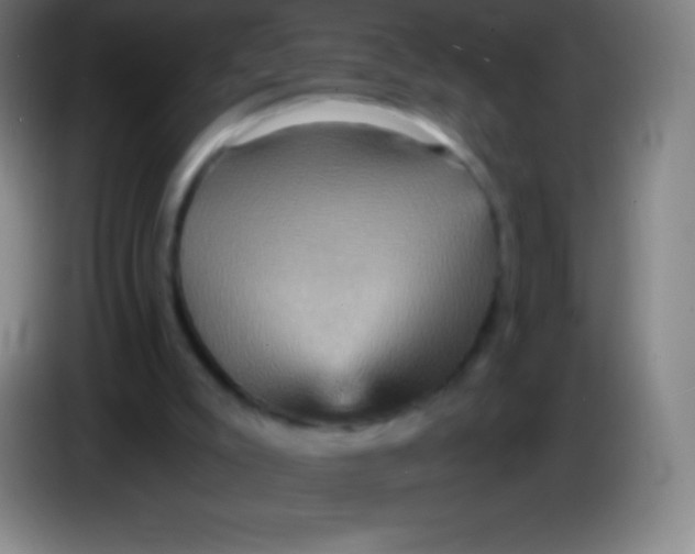 X0000085300007200703302011