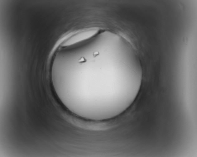 X0000085300008200703302011