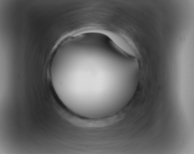X0000085300011200703302011