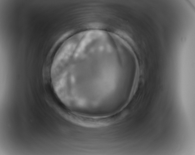 X0000085300012200703302011
