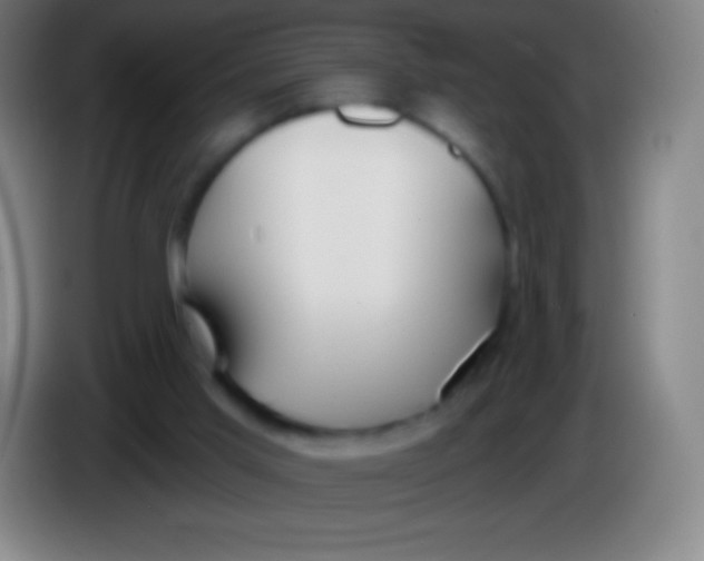 X0000085300013200703302011