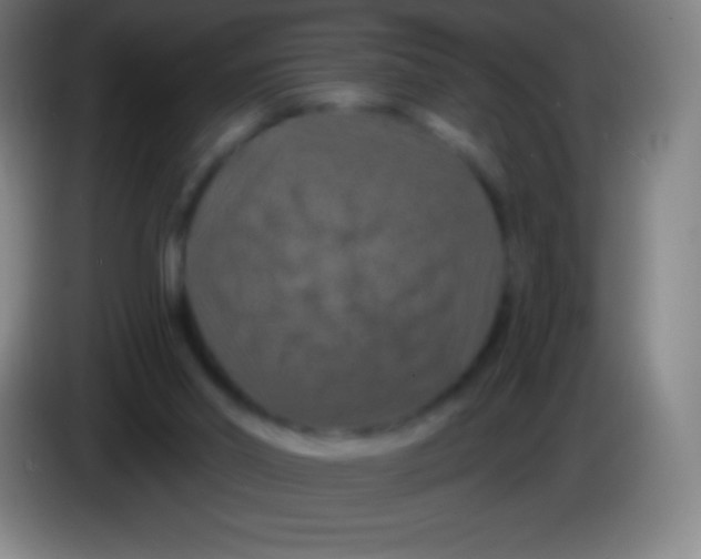 X0000085300014200703302011