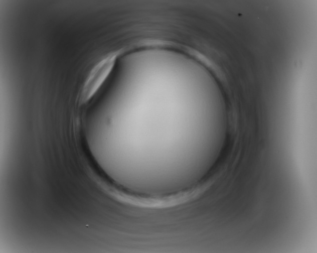 X0000085300015200703302011