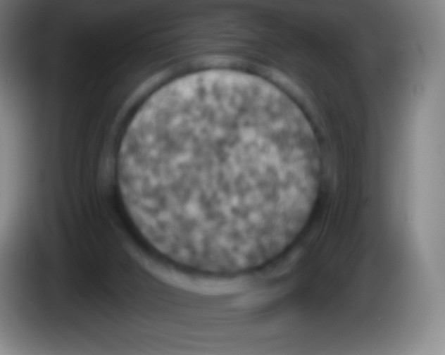 X0000085300016200703302011