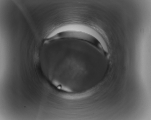 X0000085300017200703302011
