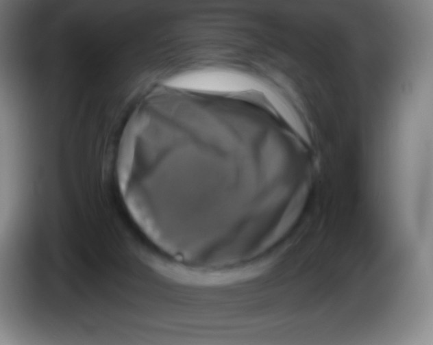 X0000085300018200703302011