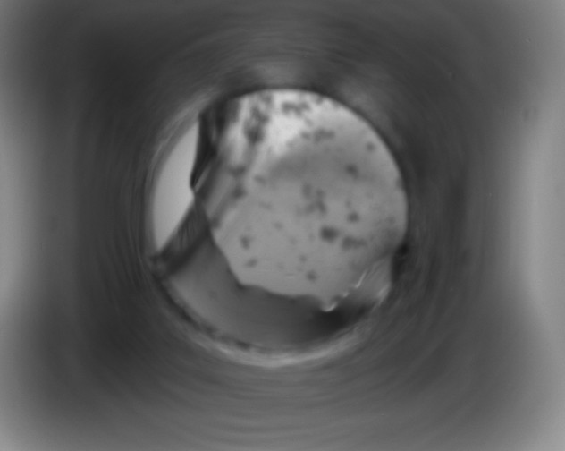 X0000085300019200703302011