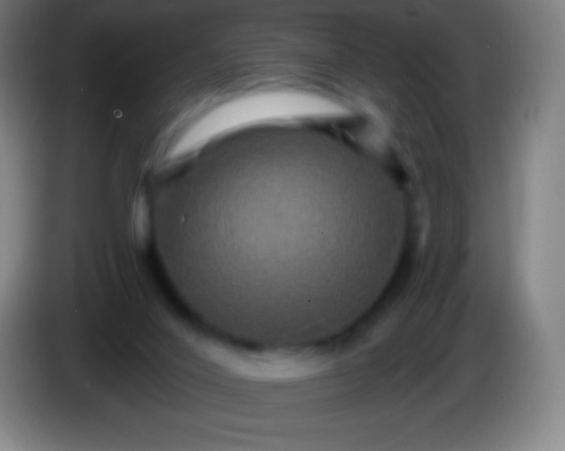 X0000085300020200703302011