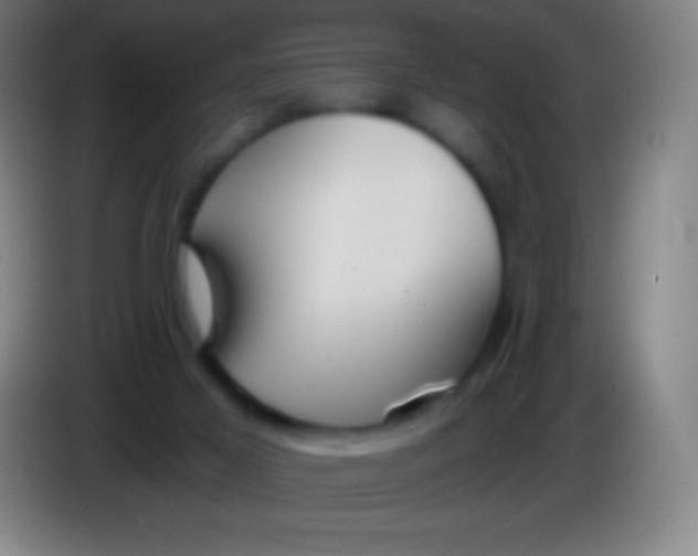 X0000085300021200703302011
