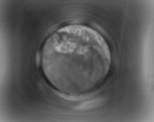 X0000085300022200703302011