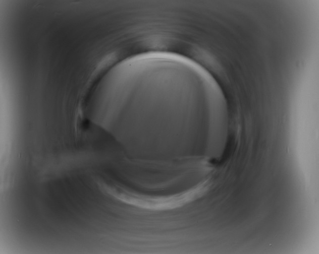 X0000085300023200703302011