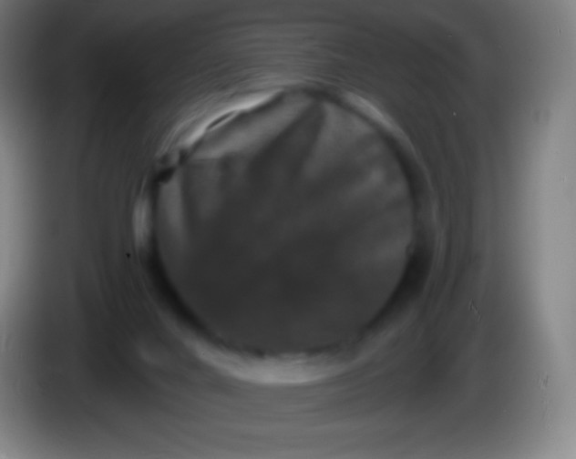 X0000085300024200703302011