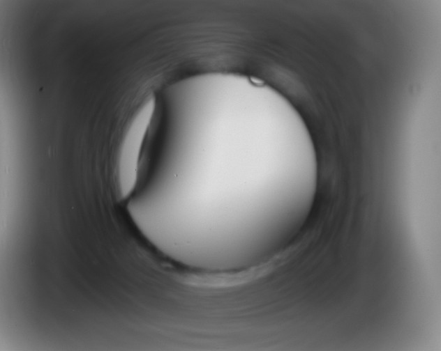 X0000085300025200703302011