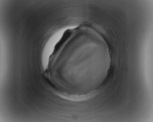 X0000085300027200703302010