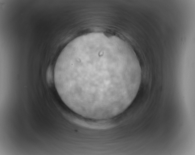 X0000085300028200703302010