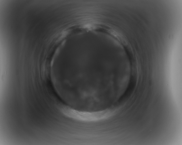 X0000085300030200703302010