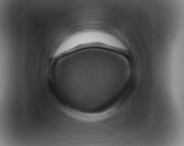 X0000085300031200703302010