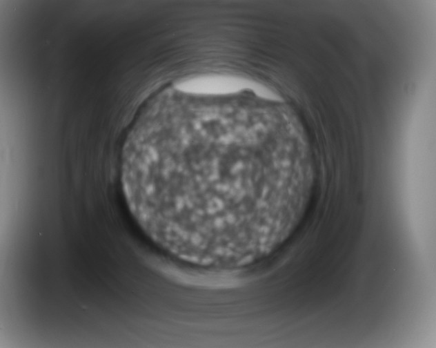 X0000085300032200703302010