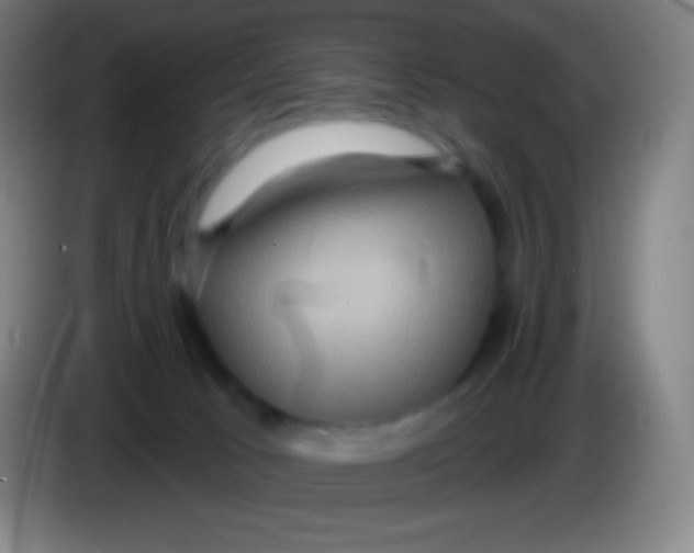 X0000085300033200703302010