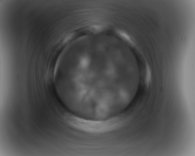 X0000085300034200703302010