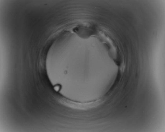 X0000085300035200703302010