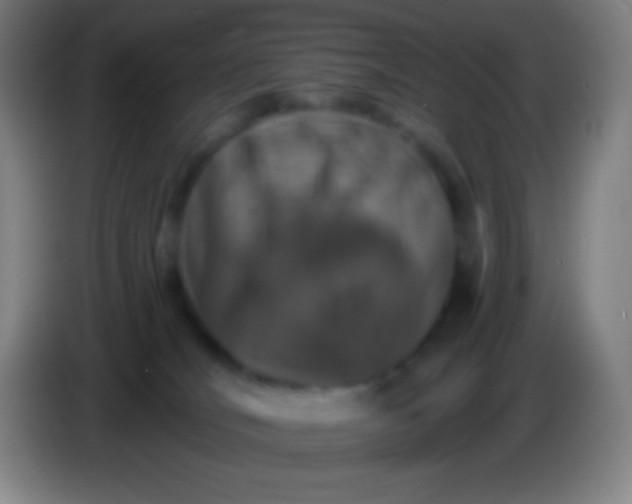 X0000085300036200703302010
