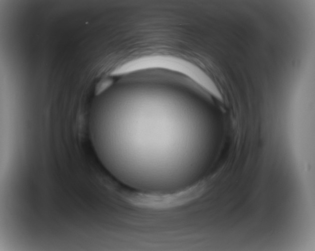 X0000085300037200703302010