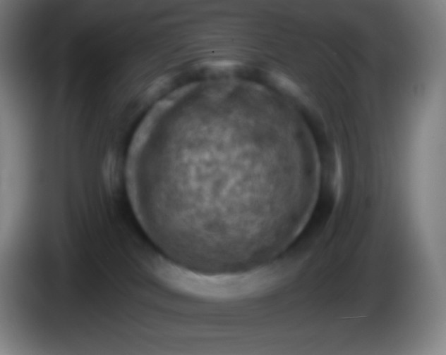 X0000085300038200703302010