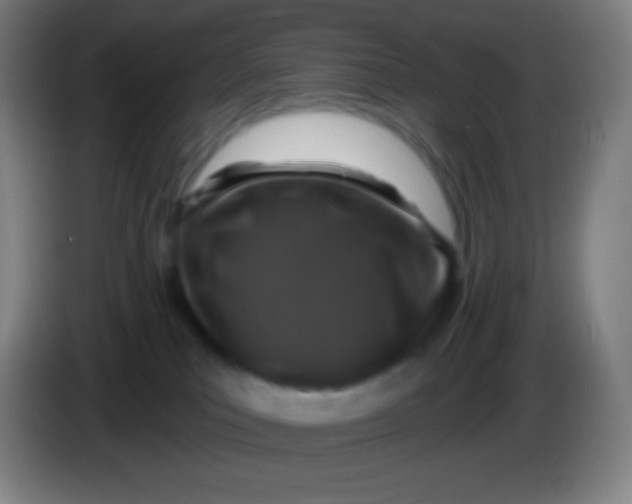 X0000085300039200703302010