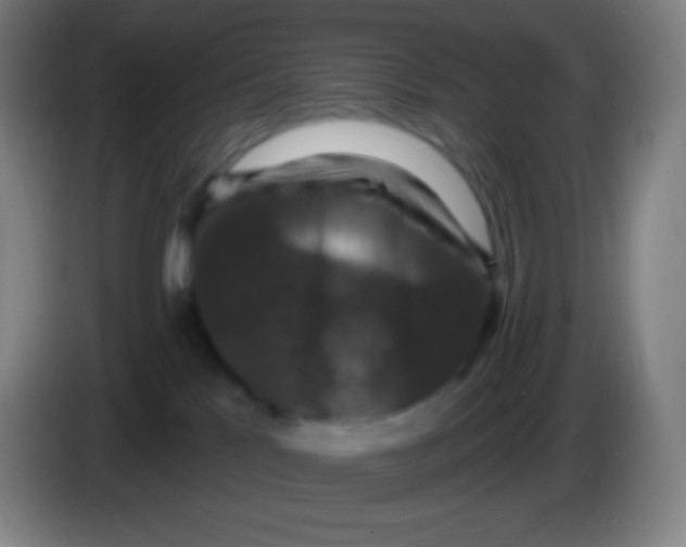 X0000085300041200703302010