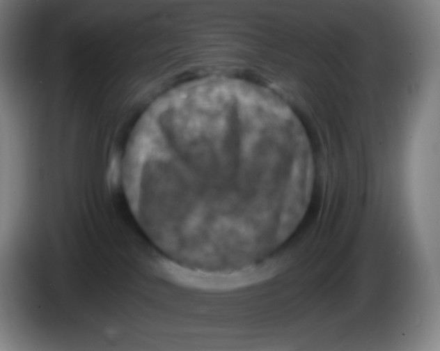 X0000085300042200703302010