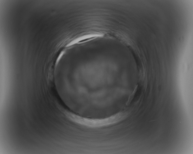 X0000085300043200703302010