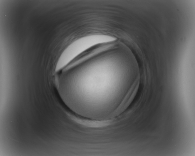 X0000085300044200703302010