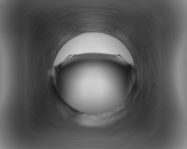 X0000085300045200703302010