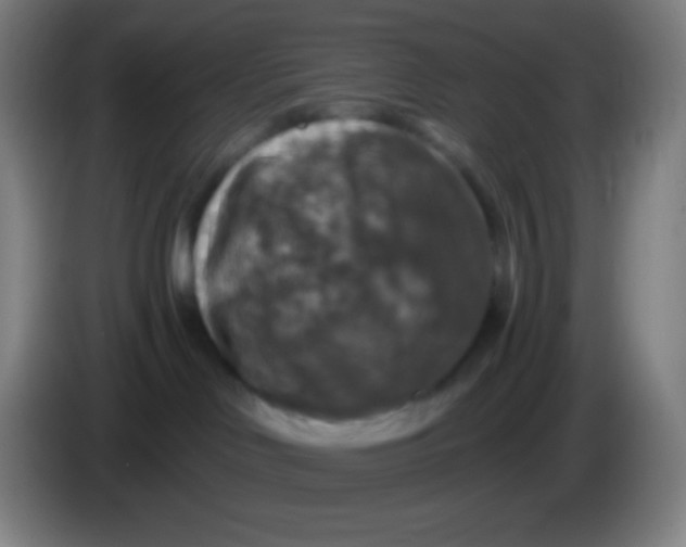 X0000085300046200703302010