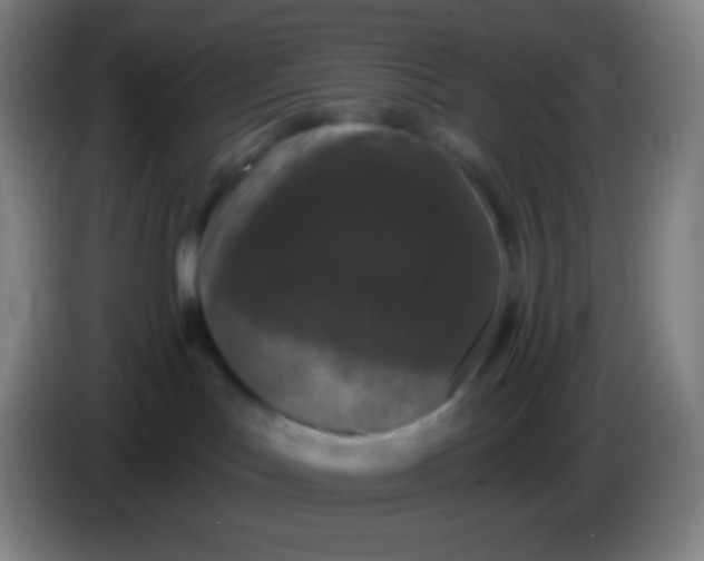 X0000085300047200703302010