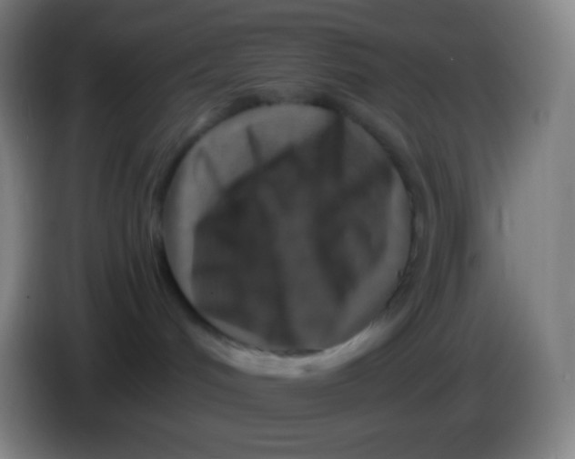 X0000085300048200703302010