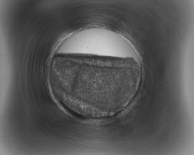 X0000085300049200703302010