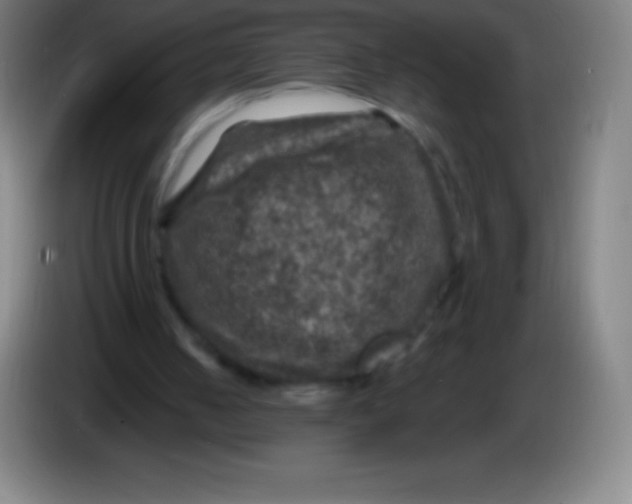 X0000085300050200703302010