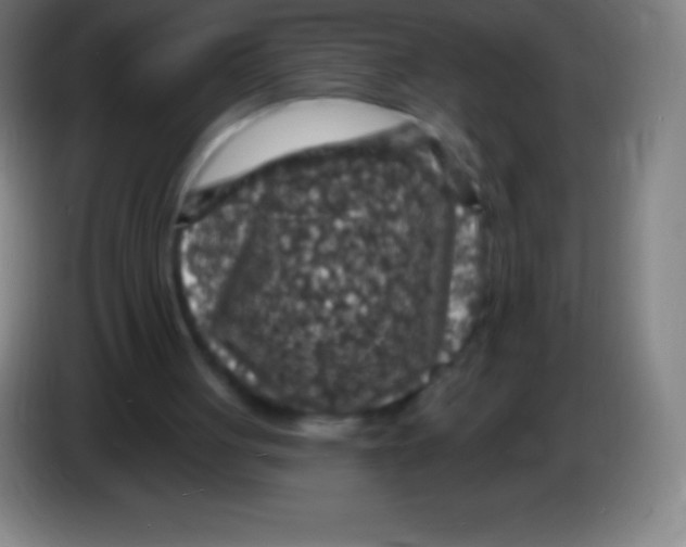 X0000085300051200703302010