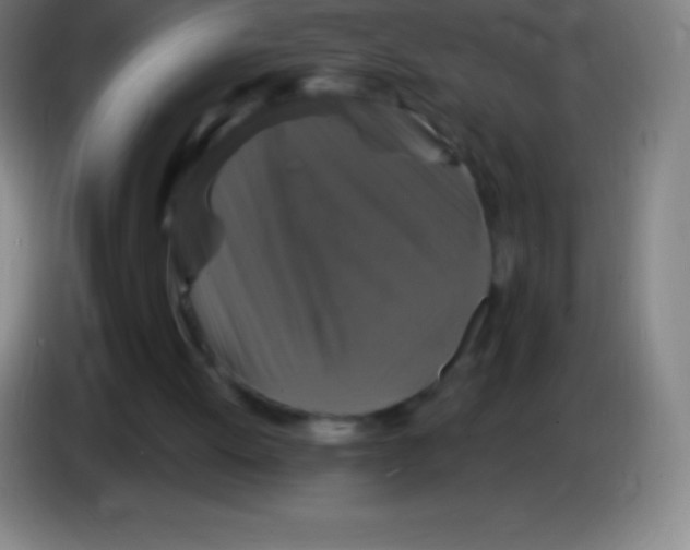 X0000085300052200703302010