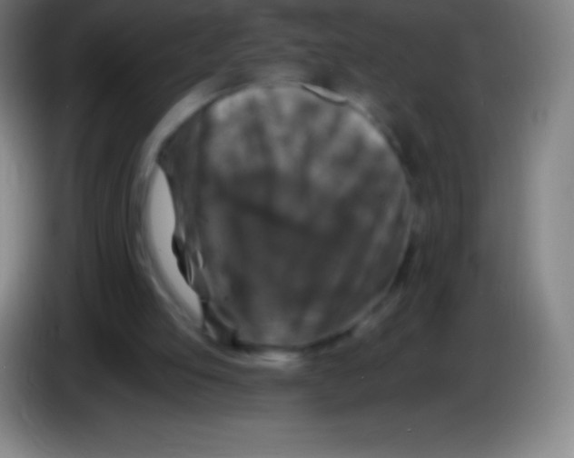 X0000085300053200703302010