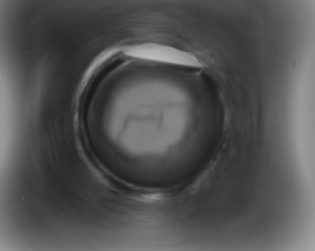 X0000085300054200703302010