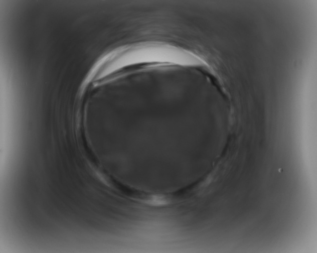 X0000085300056200703302010