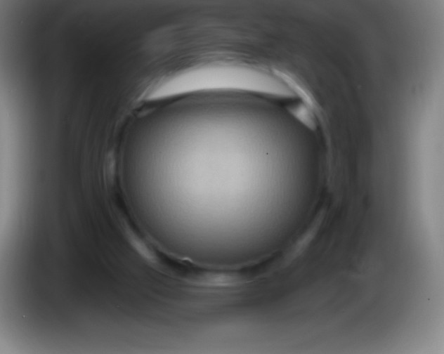 X0000085300057200703302010