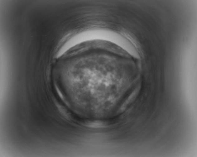 X0000085300058200703302010