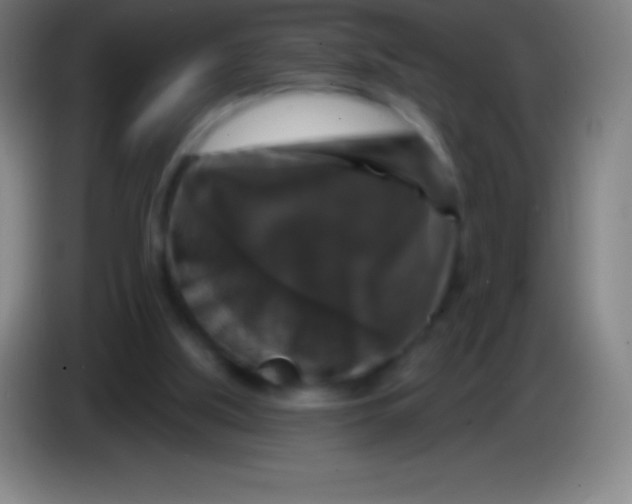 X0000085300059200703302010