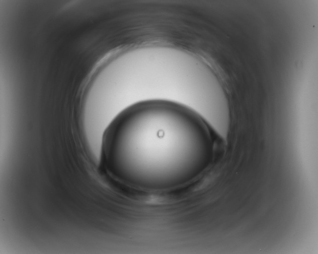 X0000085300060200703302010