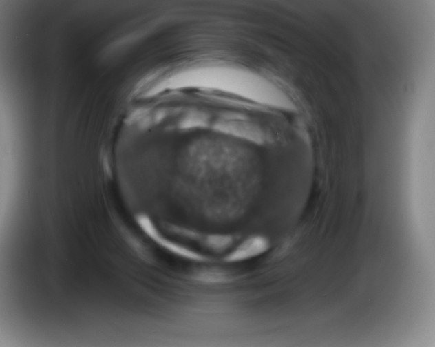 X0000085300062200703302010